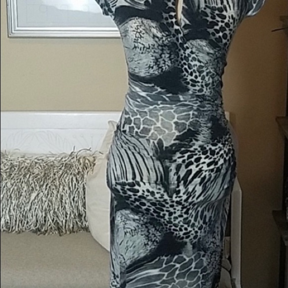 Beautiful Cache dress